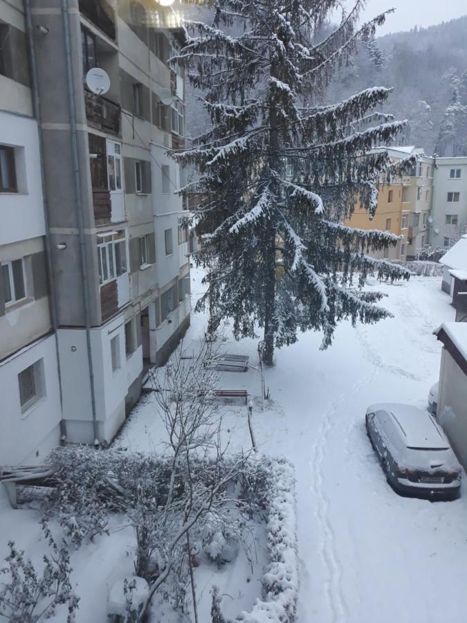 Apartament Aurora Slănic-Moldova Exterior foto