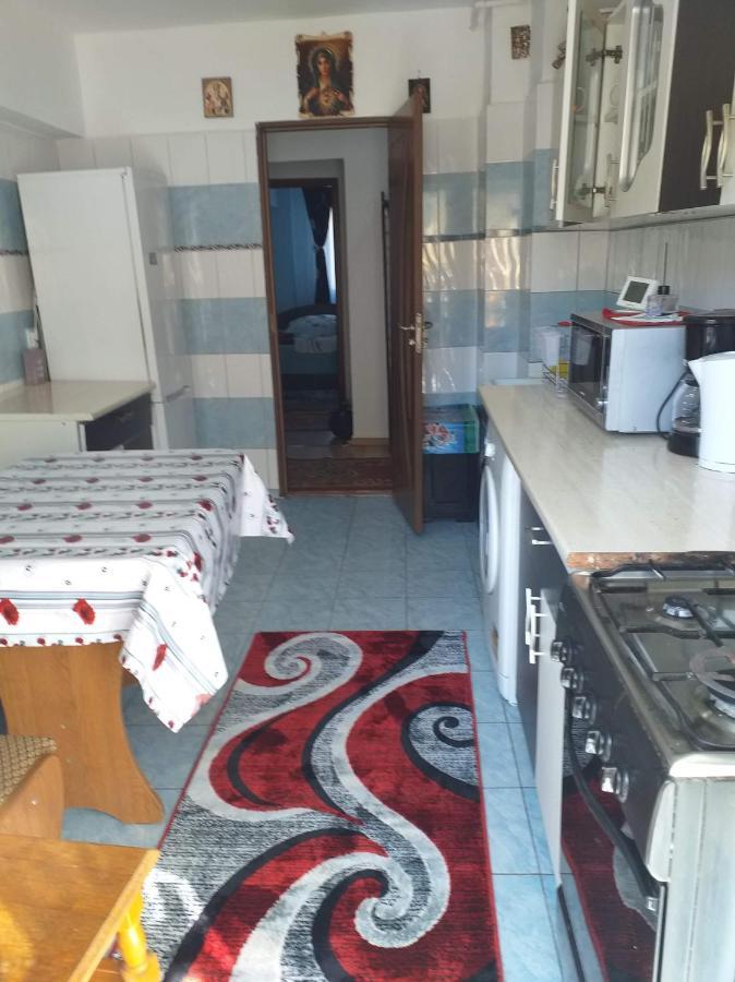 Apartament Aurora Slănic-Moldova Exterior foto