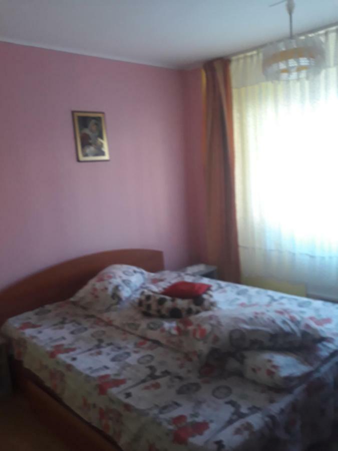 Apartament Aurora Slănic-Moldova Exterior foto
